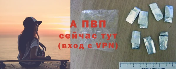 ALPHA PVP Иннополис