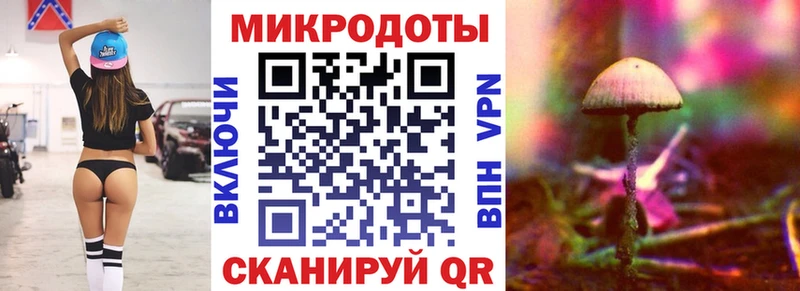 где купить наркоту  Куртамыш  Псилоцибиновые грибы Cubensis 