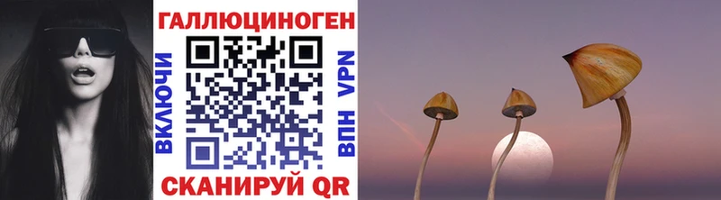 Галлюциногенные грибы MAGIC MUSHROOMS Куртамыш